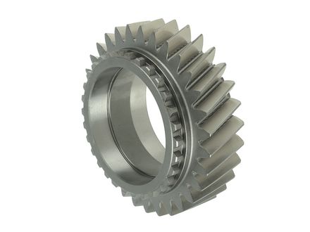 Constant Gear 31 T. ( 1354304001 )